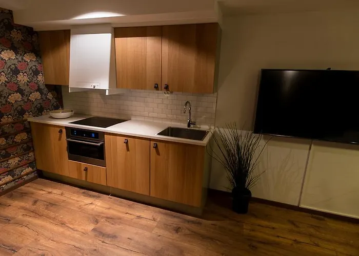 Home Again Apartments Nygata 16